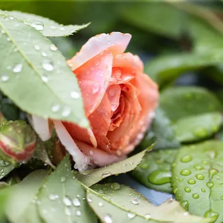 Chateau Duplex Ferme By Interhome Granges-pres-Marnand