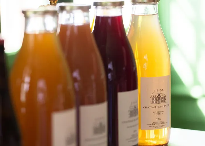 Chateau Duplex Ferme By Interhome 公寓