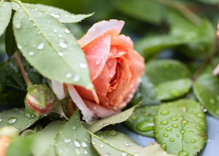 Chateau Duplex Ferme By Interhome *